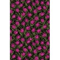 Плащівка БОСТОН принт ТЮЛЬПАНИ 