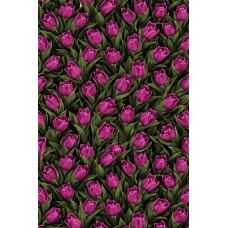 Плащівка БОСТОН принт ТЮЛЬПАНИ 