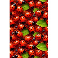 Плащівка БОСТОН принт БЕДРИКИ