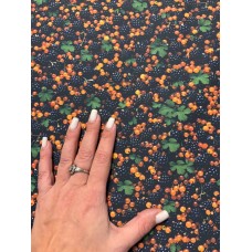 Плащівка БОСТОН принт ОЖИНА