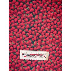 Плащівка БОСТОН принт ПОЛУНИЦІ