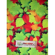 Плащівка БОСТОН принт салатове листя