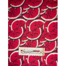 Плащівка БОСТОН принт КАВУНИ