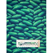 Плащівка БОСТОН принт ОГІРКИ