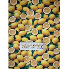 Плащівка БОСТОН принт ЛИМОНИ